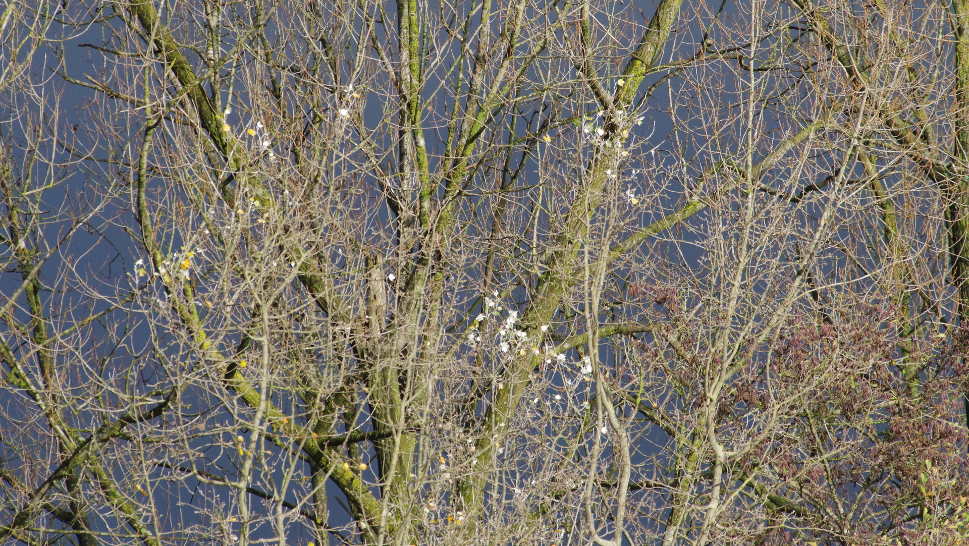 imgp0547