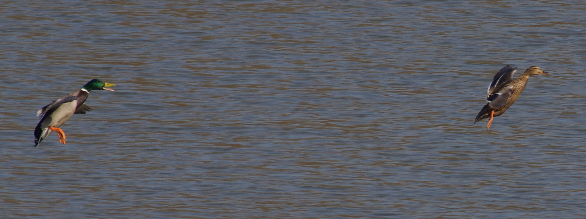 imgp4913