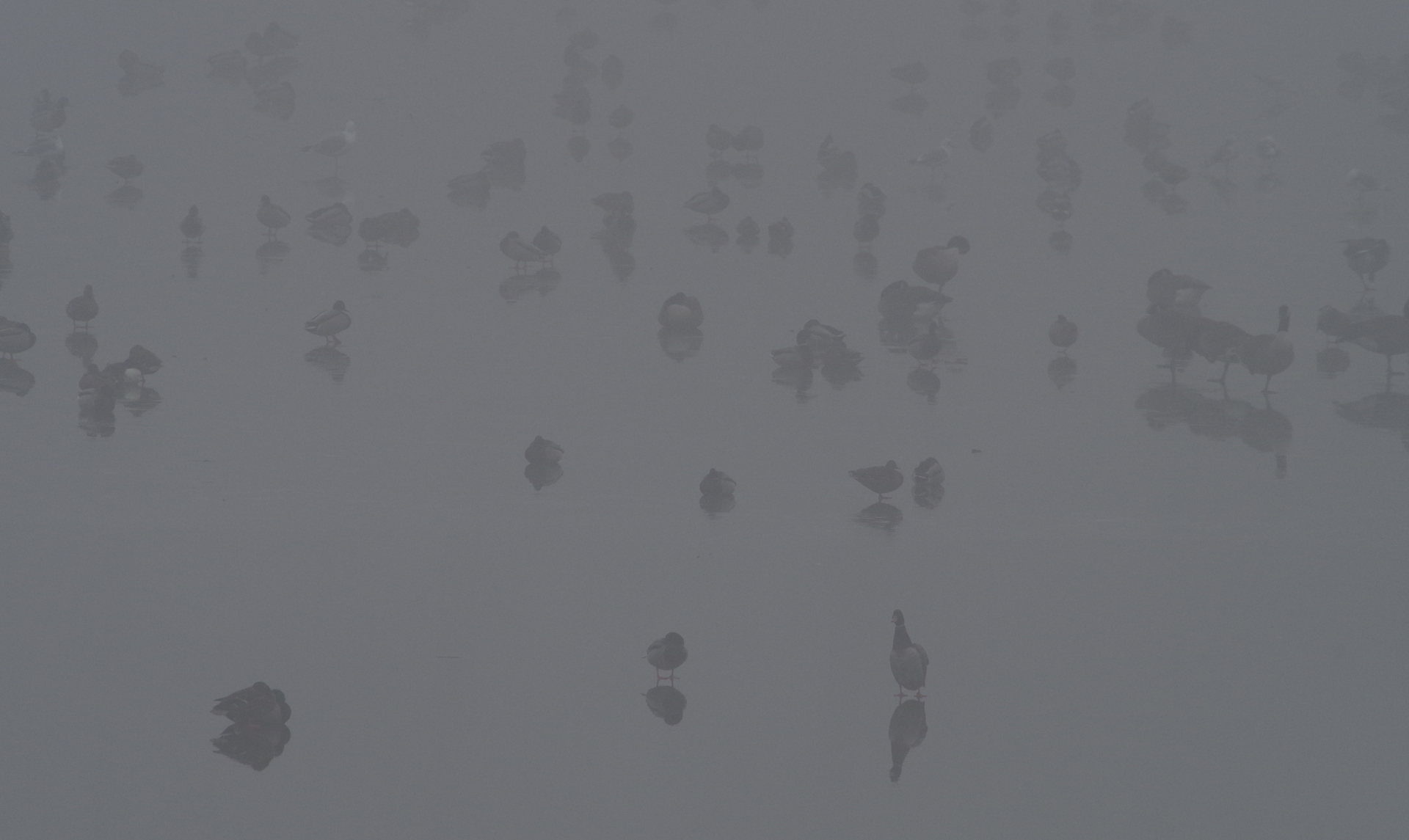 imgp7768