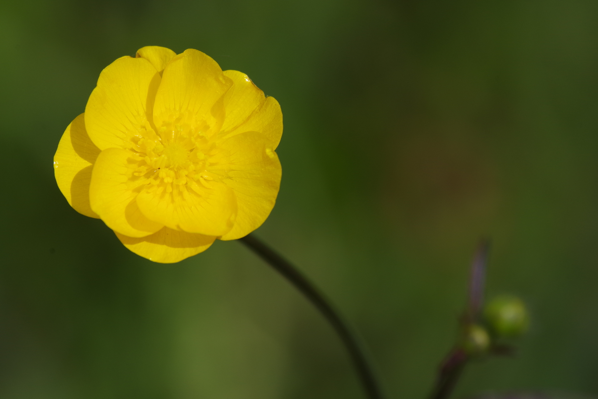 imgp8845