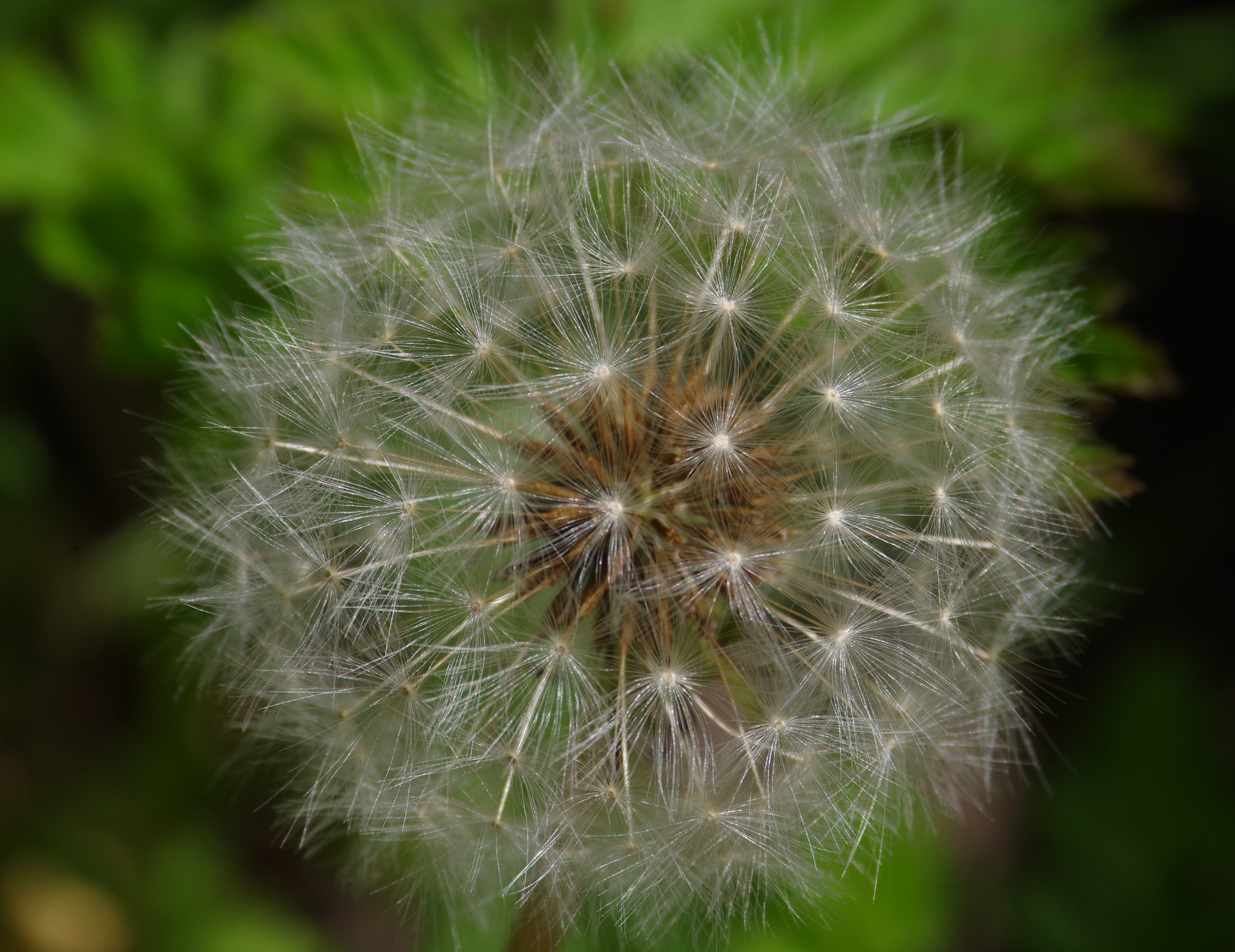 imgp8847
